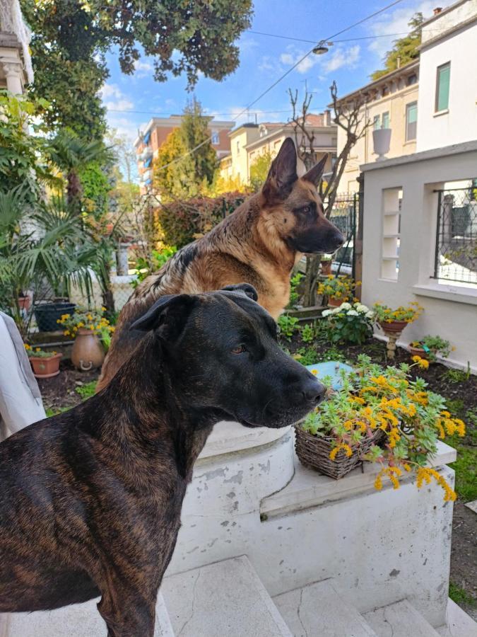 Mavipagi Daire Verona Dış mekan fotoğraf