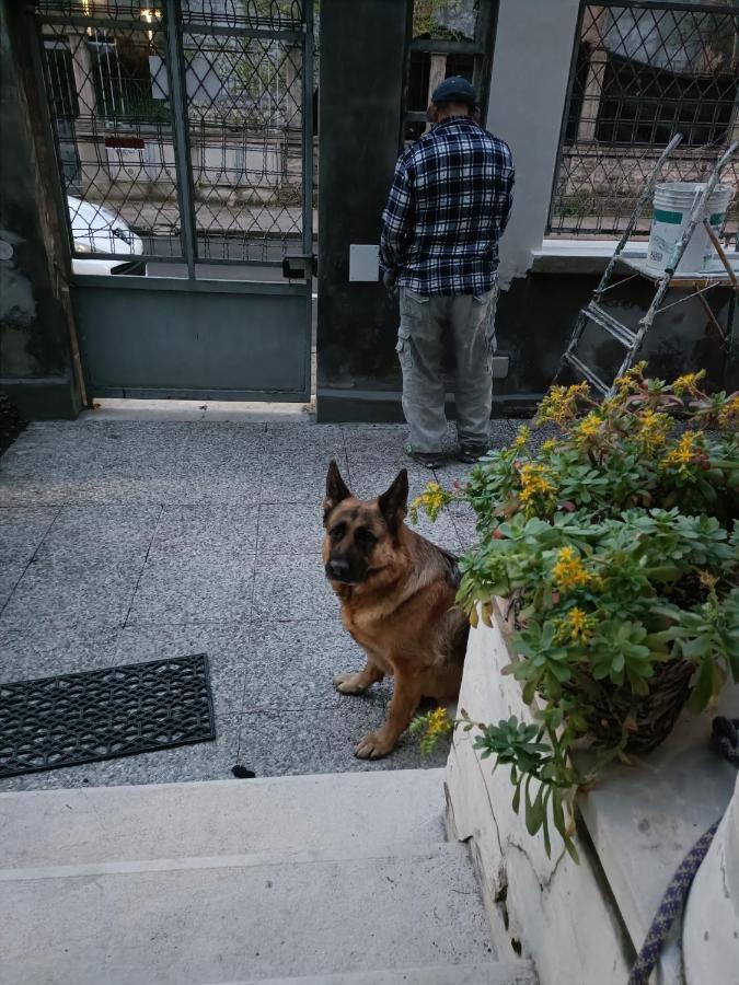 Mavipagi Daire Verona Dış mekan fotoğraf